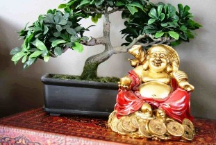 The happiness and well-being in the home according to feng shui
