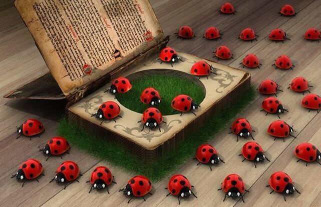 Ladybug-a symbol of divine help and protection