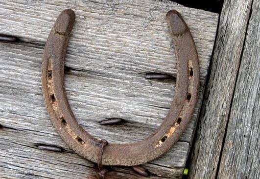Horseshoe as a talisman to attract money