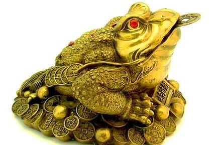 Currency Magic Toad