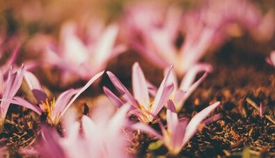 How to make a good luck amulet with your own hands