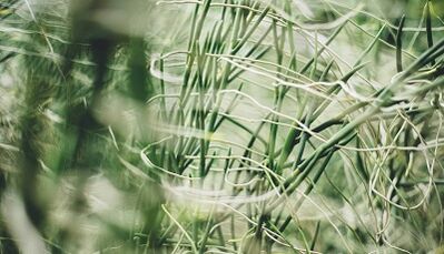 How to make auspicious amulets with your own hands