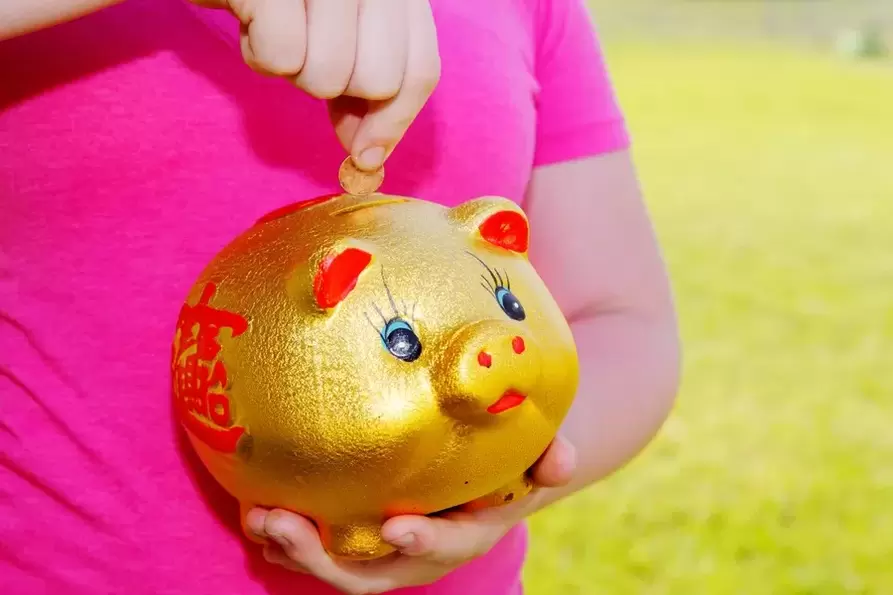 Amulet for good luck - Pig